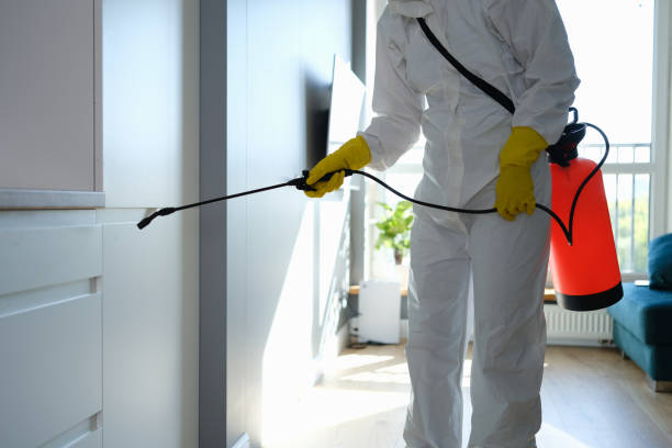 Best Professional Mold Removal  in Bon Aqua Junction, TN