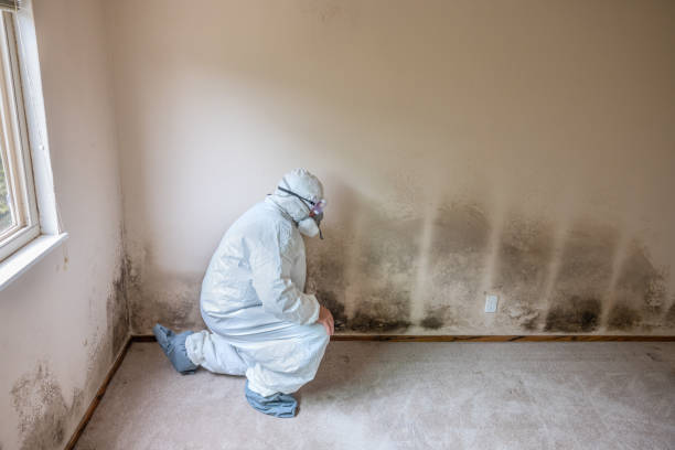 Water Damage Restoration in Bon Aqua Junction, TN
